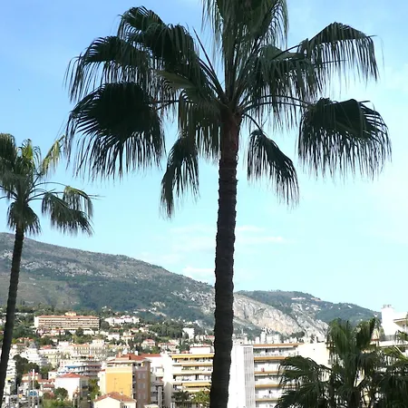 Apartment Grand 2 Pieces Climatise, Terrassse Vue & Proche Fete Du Citron